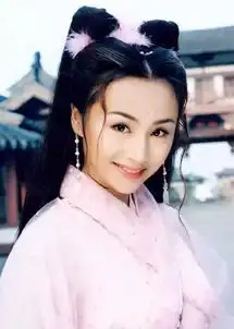 高洋演过的电视剧剧照贾