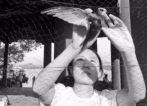 5月22日京城事儿全知道