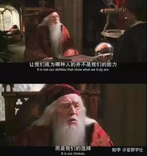 每一段经历都是自我的探索和成长by应姮伦敦政经学院香港大学大学专业指南
