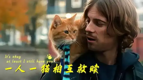 流浪猫鲍勃养猫人的逆袭之路,走上人生巅峰