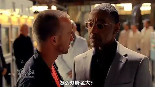 小混混秒变化学天才,狂怼一帮化学家,高手是这样炼成的绝命毒师美剧