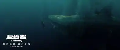 今日影评三亚旅游业哭了看完巨齿鲨再也不敢游泳了