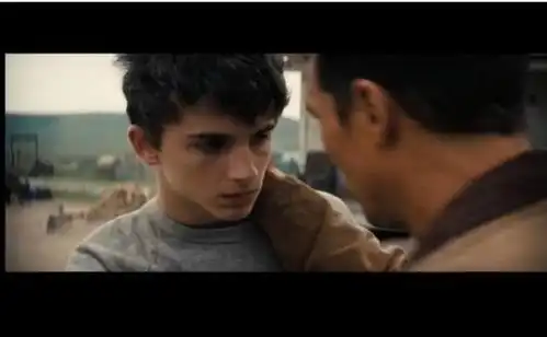 请以你的名字呼唤我情窦初开日,蜜桃成熟时,荣获各大奖项,一起来看
