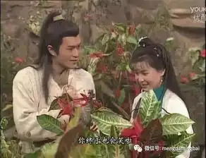 被低估的几部金庸小说也有静悄悄的美
