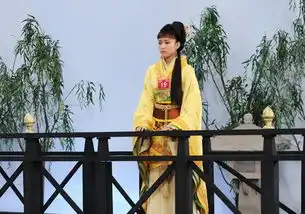 西施秘史选手19号张洋
