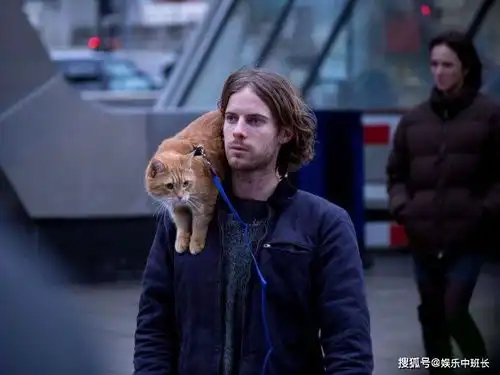 流浪猫鲍勃续集电影预告登场,与橘猫鲍勃共度的最后一个圣诞节