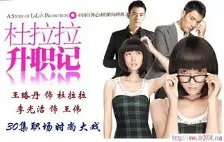 求杜拉拉升职记电视剧版psp版全集下载地址
