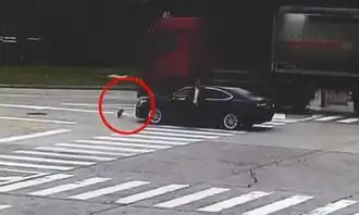 主人泪崩苏州现实版忠犬八公舍身追汽车
