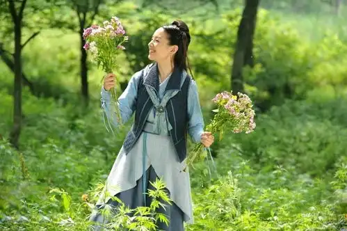 新萍踪侠影官方剧照