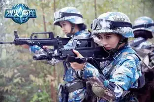 烈火海洋也想拍太阳的后裔但有约束