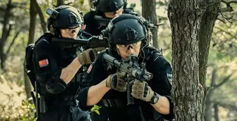 时隔英雄本色20181年后,导演丁晟的电影票房又扑街了
