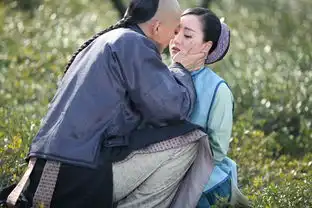 高云翔宫锁连城悲情谢幕
