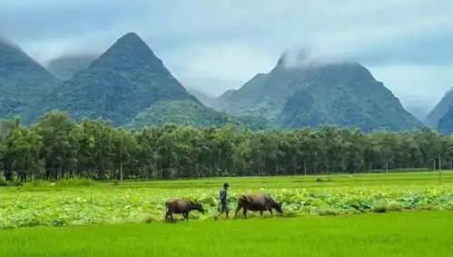 美呆了原来三生三世十里桃花的外景拍摄地竟然在这
