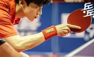 继陈情令后,白敬亭许魏洲也官宣双男主剧,相约荣耀之路
