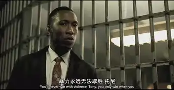 票房破4亿,绿皮书教给我们的5个生活道理
