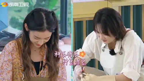 丁真唱什么是快乐星球中餐厅
