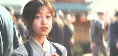 20180726在日本看艺伎回忆录
