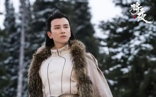 快来看看将夜有那些天书