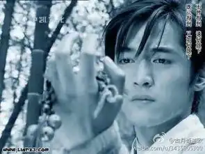 张智霖冯绍峰钟汉良陈坤哭得比女人还美的男星