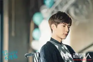 凉生我们可不可以不忧伤程天恩的腿怎么了程天恩为什么坐轮椅
