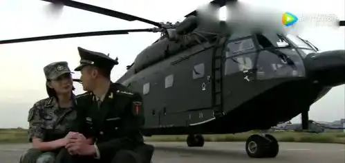 我是特种兵女教官心疼何晨光受伤
