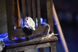 tobeornottobe,昆曲我,哈姆雷特首演亮相
