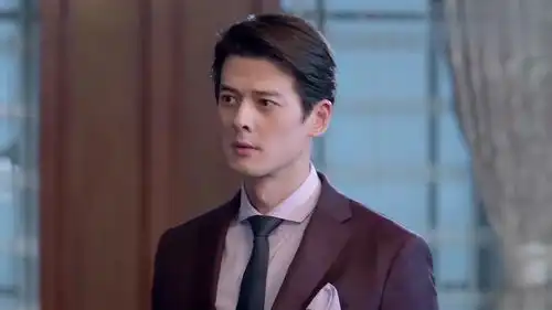 美女谈判官不仅能力出众,长相更是美艳动人,霸道总裁一眼相中