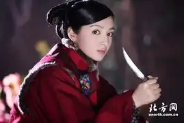 宫锁连城热播麦迪娜这个杀手不太冷
