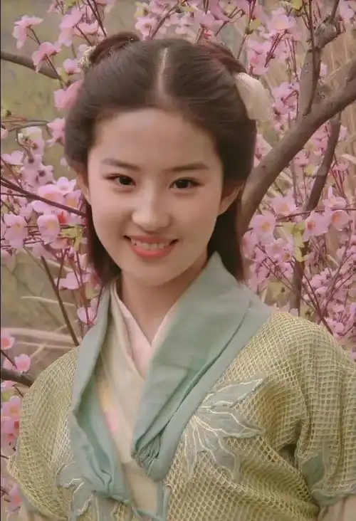 美人时光机刘亦菲
