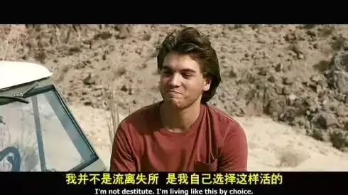 理想主义者的所谓自由荒野生存影评
