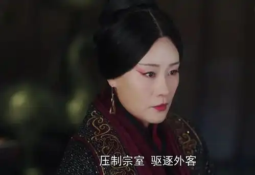 大秦赋华阳夫人阴谋失败,终于明白为何用张鲁一饰演小嬴政