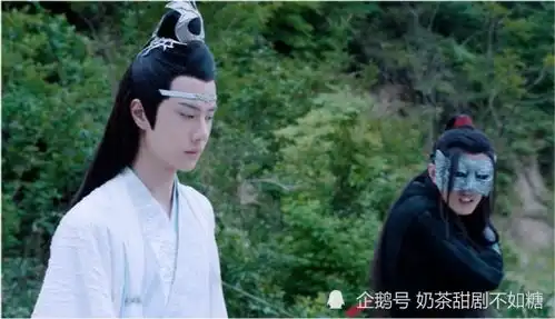 陈情令大梵山重逢之时,为何蓝忘机没有帮魏无羡挡住第二道紫电