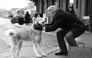 痴狗情未了医院门口苦等着主人