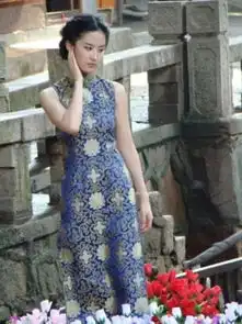 女星旗袍争艳
