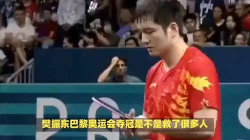 樊振东巴黎奥运会夺冠是不是救了很多人
