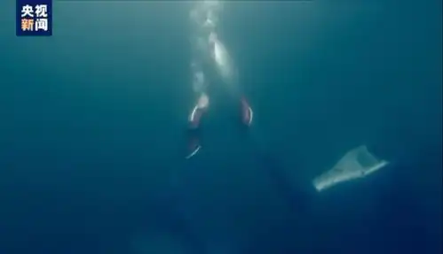 史上首次两名机器人在水下完成冬奥火炬传递,网友酷
