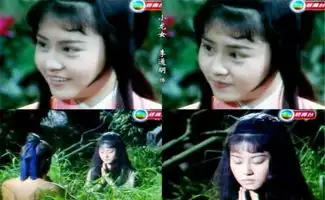 神雕侠侣由性感女星出演,网友风尘版小龙女了解一下
