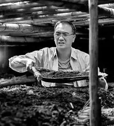 农耕题材影视,吹来一股清丽之风