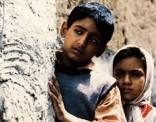 还在聊寄生虫这个国家才是亚洲电影担当,拿遍国际大奖
