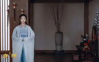 唐砖剧照
