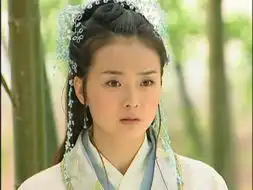 王艳参演电视作品19952005