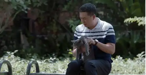 少年派2预告张嘉译闫妮演技惊艳众人,钱三一林妙妙来了
