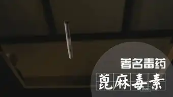 用打苍蝇撑起一集的神剧盘点绝命毒师中的8大道具