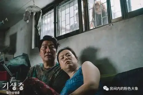 加平郡溪谷溺水之谜周末夫妻背后的残忍真相