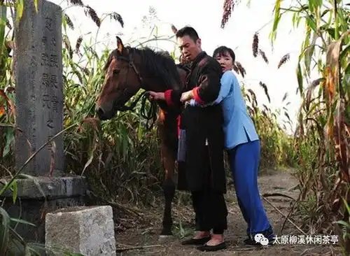 莫言的长篇小说红高粱家族14