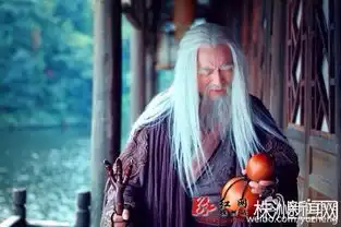 新神雕客串全阵容陈翔赵丽颖杨蓉