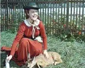 茜茜公主有她的血统,但丈夫为领土娶她,被父亲利用,被儿子幽禁