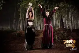 黄渤林志玲恋爱汤唯大肚舒淇文章卖萌