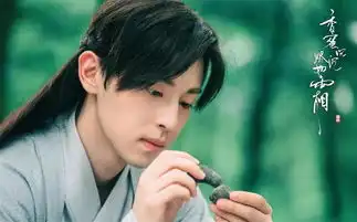 和谁搭档谁红,杨紫近两年成了旺男主小锦鲤