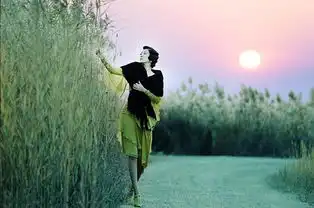 罗曼蒂克消亡史2016年章子怡葛优主演电影搜狗百科